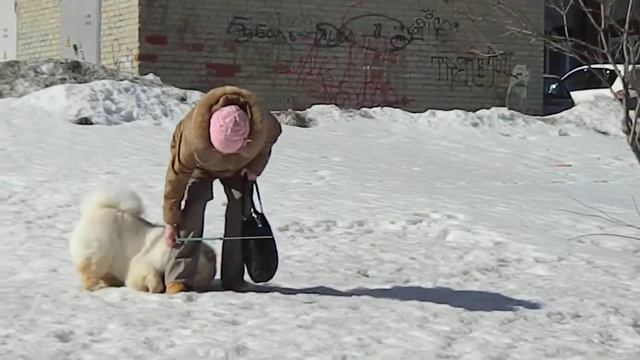 бесилки смотреть онлайн