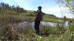 Весенняя рыбалка на поплавок, на реке  в проводку.  Клев плотвы на ручейника.