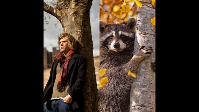 Johnny Flynn - Rocky Raccoon (Fan-Art-Video) смотреть онлайн