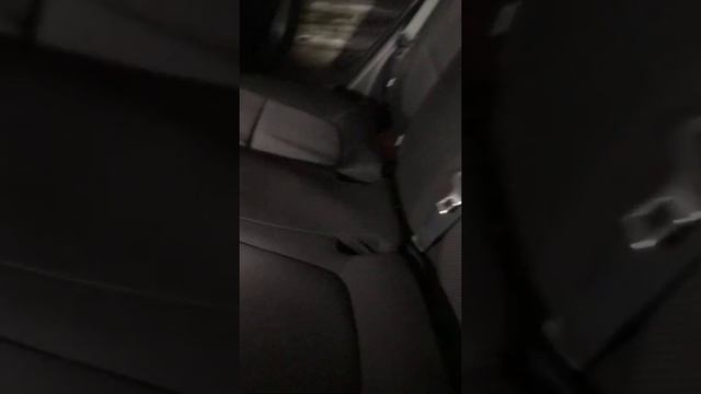 Чистка в радость