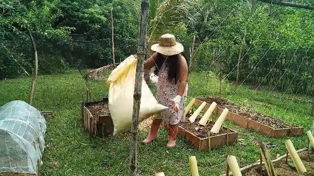 Putting Saw Dust In My Vegetable Garden смотреть онлайн