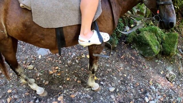 Прогулка на лошадях. Абхазия 2020. смотреть онлайн