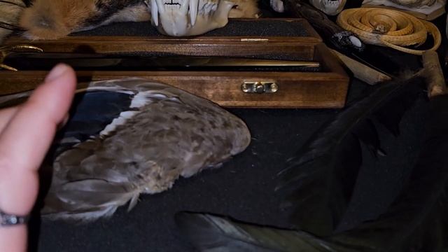 КОЛДОВСТВО...ЧАСТЬ 1... смотреть онлайн