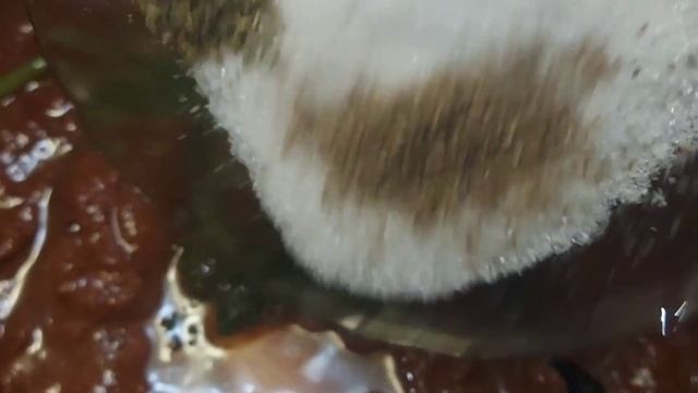 Волшебная Кухня