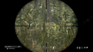 ?DayZ: ОПТИМИЗАЦИЯ и ПОВЫШЕНИЕ FPS НА СЛАБОМ ПК | ЛУЧШИЕ НАСТРОЙКИ ГРАФИКИ ДЛЯ ПВП | + ВИДИМОСТЬ.