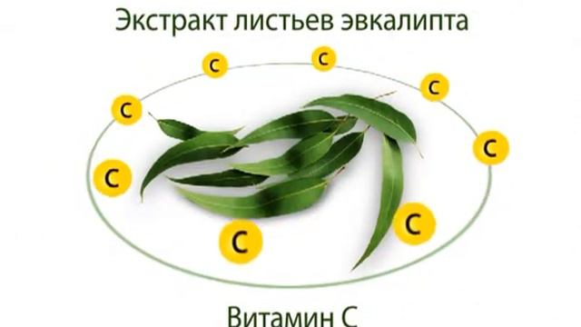 Хлорофилин смотреть онлайн