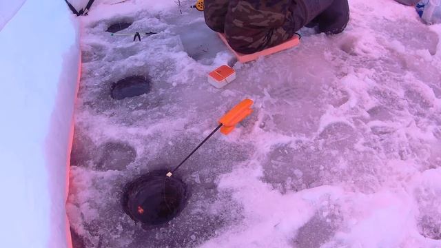 Рыбалка в Шатуре. Плотва зимой смотреть онлайн