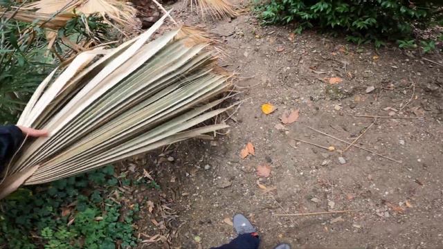 Бал хризантем для мариши 04,11,2023 часть 7 смотреть онлайн