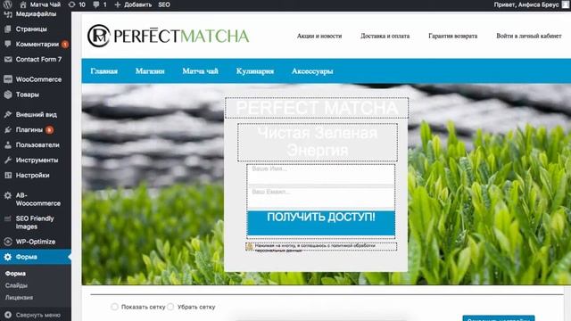 Пример настройки плагина " Живая форма + Слайдер" смотреть онлайн