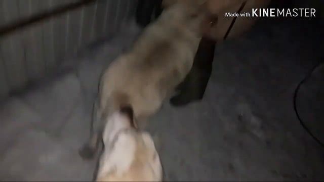 Я влюбилась???/Дик и Джесс/???/закончили розу/алмазная вышивка/привет Mnogoмаме? смотреть онлайн
