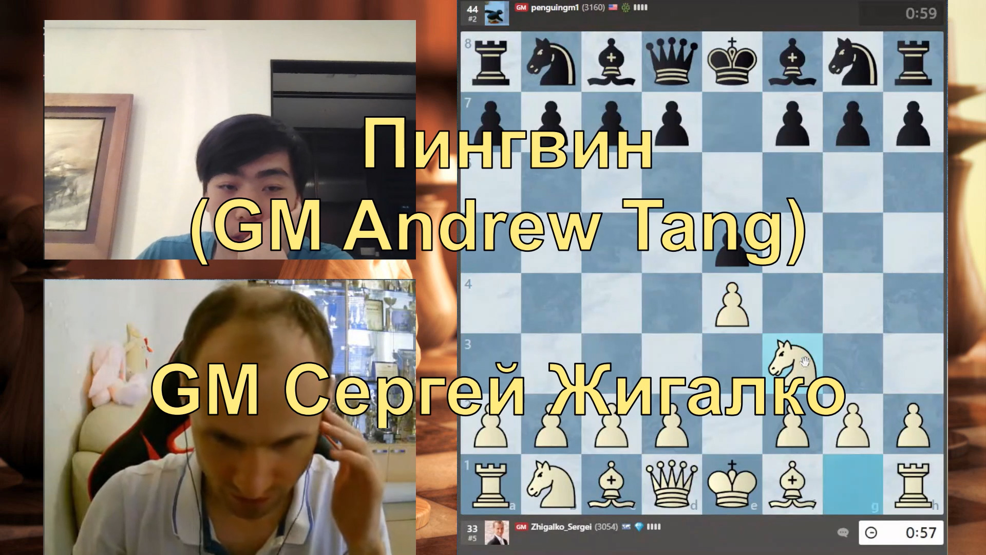 ЖИГАЛКО – ПИНГВИН Andrew Tang ♕ В Антарктиду лети, птица! ♔ Партия в шахматы онлайн смотреть онлайн