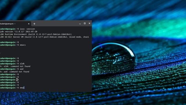 Screen recording 2021 09 08 3 14 51 PM смотреть онлайн