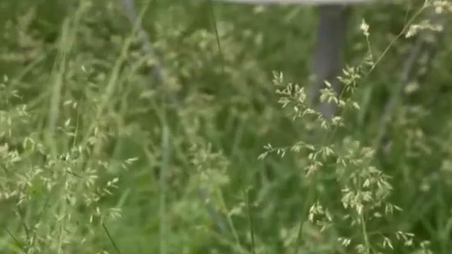 Печка-прачка и печка "Егорка" смотреть онлайн