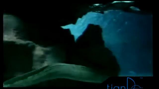 ТианДэ - Врата в Поднебесную. tianDe смотреть онлайн