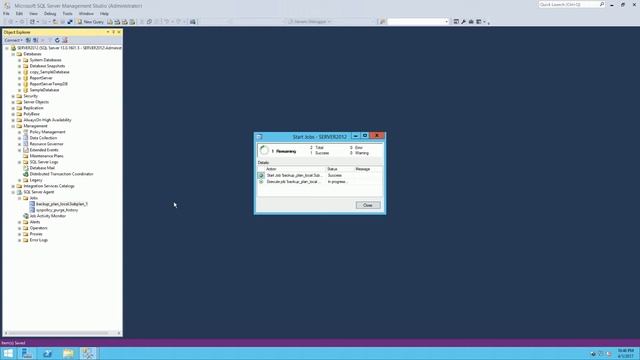 How to create a Backup Plan in Microsoft SQL Server смотреть онлайн