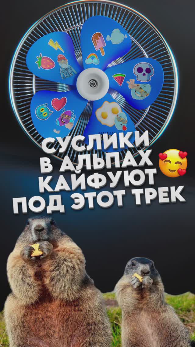 🏔️🥰 #суслик #суслики #marmot #альпы #alpen