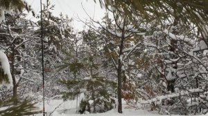 Самая короткая ловля патамушта катаклизьма.mp4