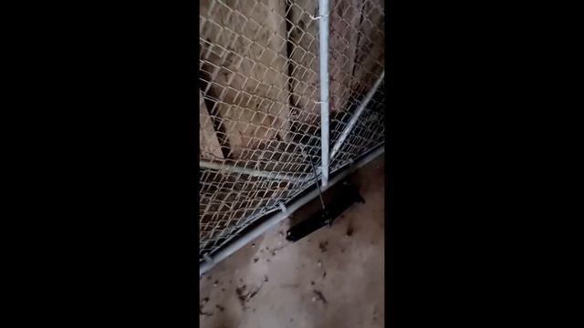 Ford Commander 6000 tractor hydraulic leak fix part3 смотреть онлайн