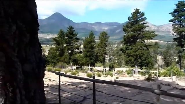 Protea farming on the Wedderwill Estate смотреть онлайн