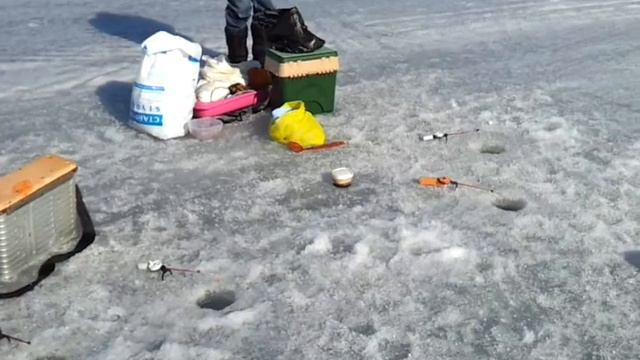 video-2012-04-11-16-51-01.mp4 смотреть онлайн