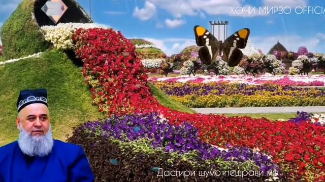 Хочи Мирзо  Гушти ин Халол ё харам аст? Срочно бинед