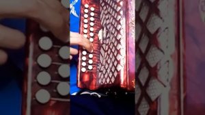 Разбор на гармони « Казачья Игоря Растеряева»