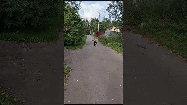 вип на флай