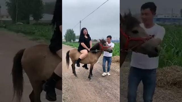 Big pony mount смотреть онлайн