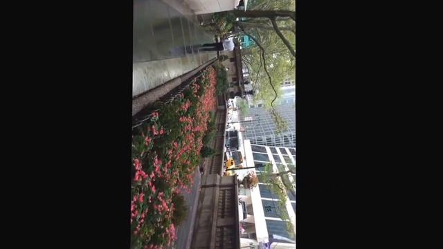 Exploring New York City: Bryant Park смотреть онлайн