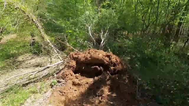 Bulldozer Time!!!| D39px Clearing Land For The Barn | Off Grid Journey BEGINS!!! смотреть онлайн