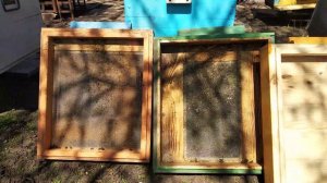 Сетчатое дно улья. Отрицательный отзыв