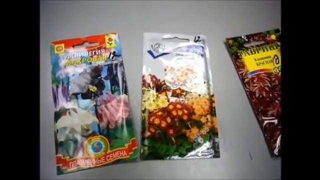 Стратификация, скарификация, что это такое?