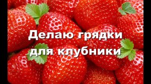 Делаю грядки для клубники