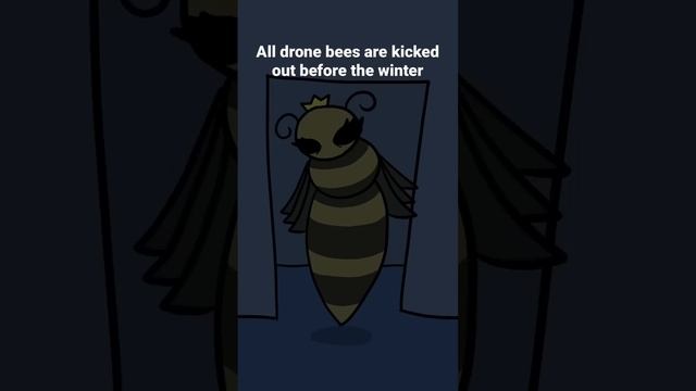 Bee snuggles #animation #bee #framebyframe смотреть онлайн
