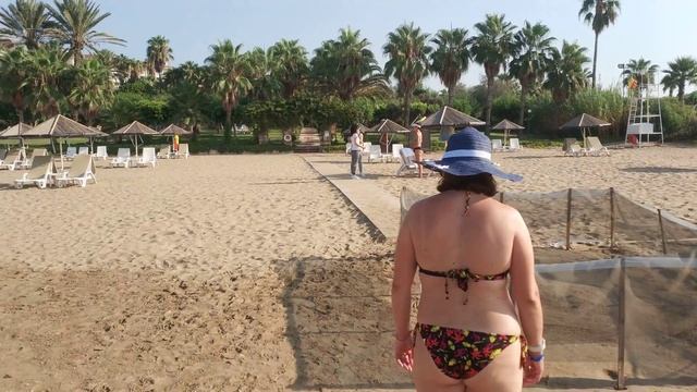 Турция Сиде пандемия черепахи море.