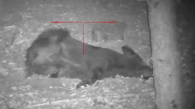 Sytong ht 60 смотреть онлайн