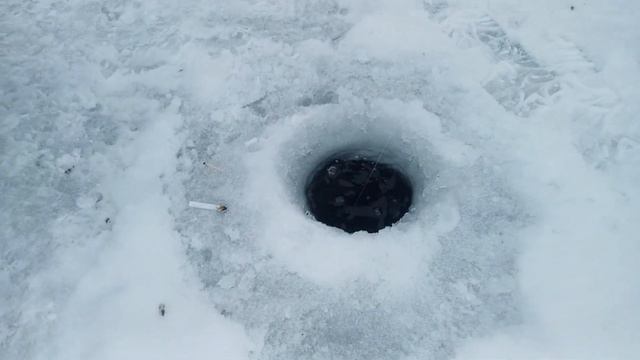 зимняя рыбалка .Ловим форель со льда Царская рыбалка смотреть онлайн