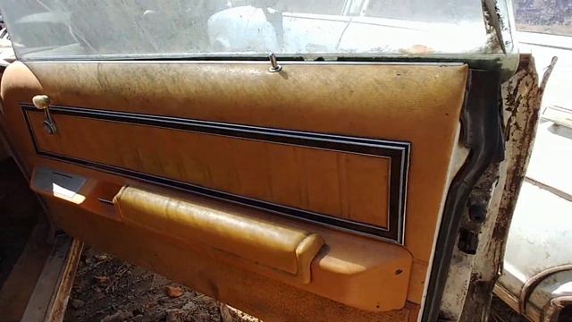 1978 Ford Thunderbird Junkyard Find смотреть онлайн