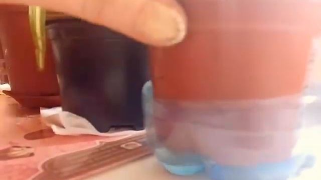 ЛАЙФ ХАК ИЗ КОРОБКИ КОНФЕТ 9.03.2017 смотреть онлайн