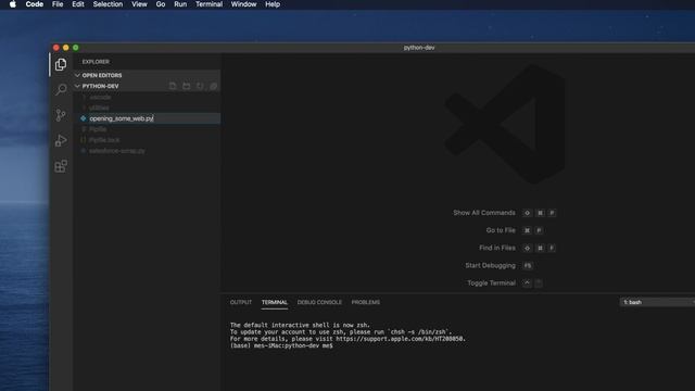 First Script to Automate your Chrome Browser using Selenium смотреть онлайн