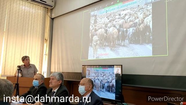 Доклад Алихона Латифи на международной научной конференции, посвящённой гиссарской породе овец. смотреть онлайн