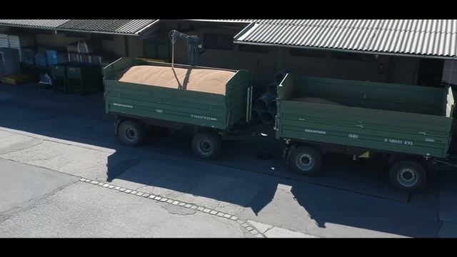 Farmer girl takes the harvest with the John Deere to the warehouse смотреть онлайн