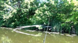 Моя утренняя рыбалка на Медведице! Женская рыбалка в Жирновске! Morning women's fishing.