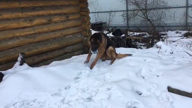 Жан Рено смотреть онлайн
