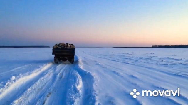 Поездка в лес за дровами на ТРЁХ ШИШИГАХ - ГАЗ 66(гружённые берёзой).. смотреть онлайн