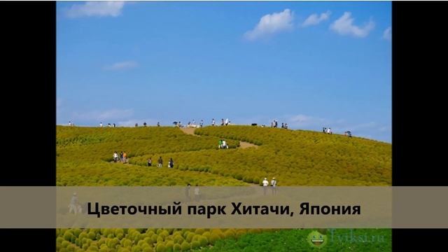 12 ЧАРУЮЩИХ ПЕЙЗАЖЕЙ, КОТОРЫЕ ДОКАЗЫВАЮТ, ЧТО ОСЕНЬ — ГЕНИАЛЬНАЯ ХУДОЖНИЦА! смотреть онлайн