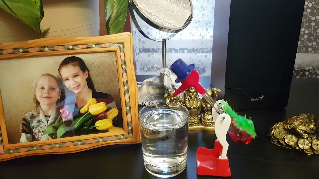 Вечно пьющая птичка смотреть онлайн