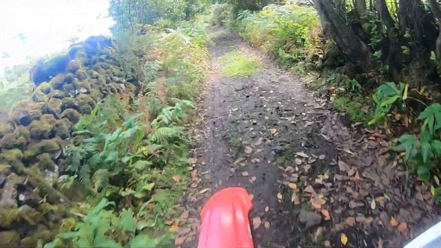 Chill ride | Honda crf450RX (lots of power with the rear sprocket 44) смотреть онлайн