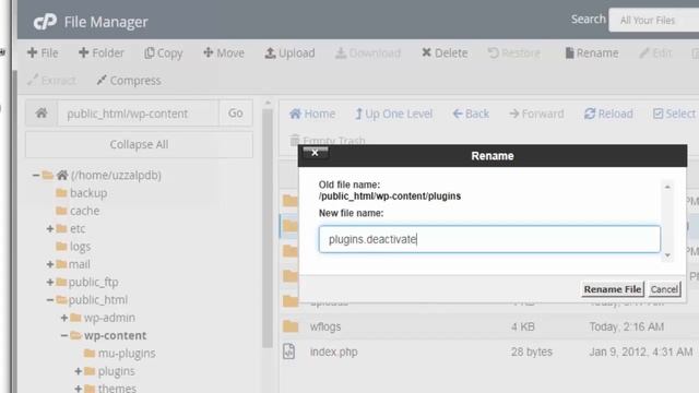 Can't access wp-admin page।। Enter wordpress website dashboard in 3 minutes!! смотреть онлайн