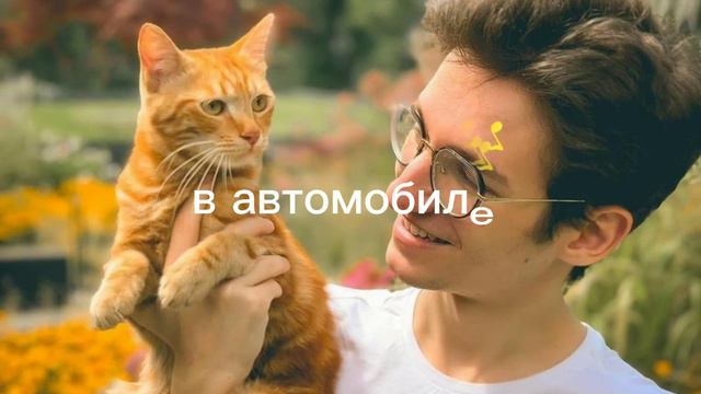 песня "я кот на стиле" с текстом скороченый вариант из тик тока смотреть онлайн